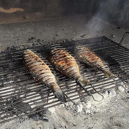 צלינה Elona Apartments מראה חיצוני תמונה